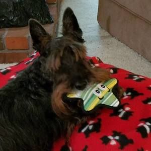 Meet your Posher, Leona